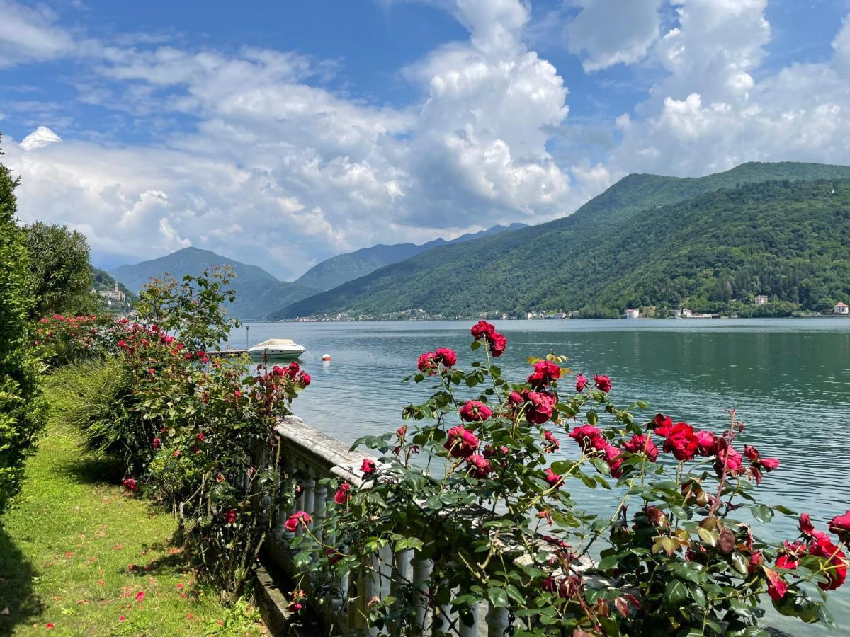 Ville Lago Lugano 波尔图塞里西奥 外观 照片